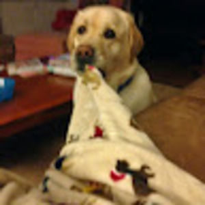 Meet your Posher, Paul